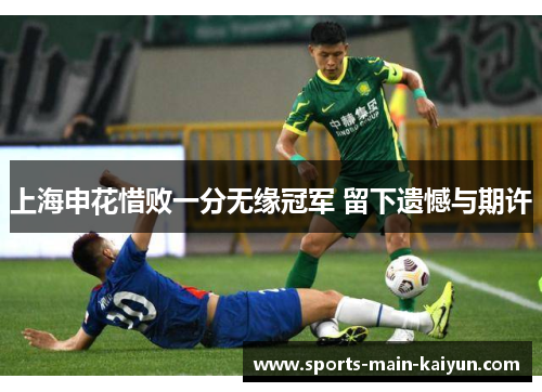 上海申花惜败一分无缘冠军 留下遗憾与期许